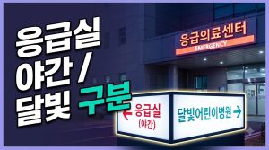 응급실 vs 야간진료 vs 달빛어린이병원 — 이용 상황 구분