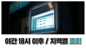 야간(18시 이후) 진료 병원·약국 찾는 법 — 지역별 확인