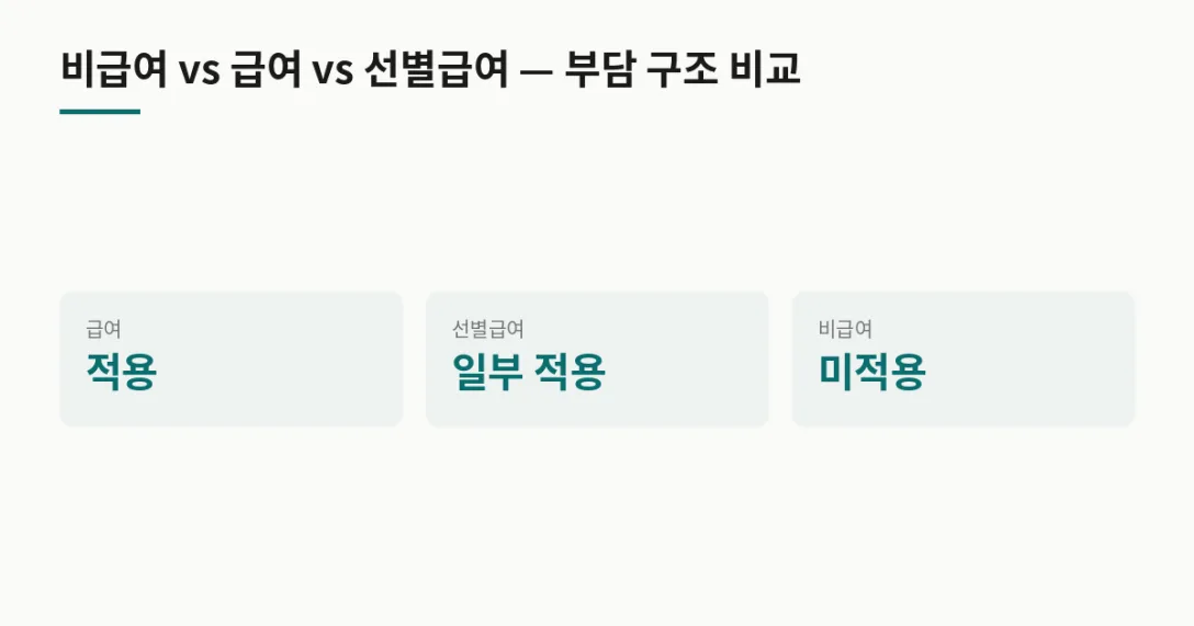 구분 보험 적용 · 급여 적용 · 선별급여 일부 적용