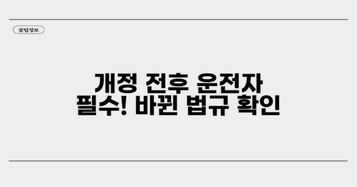 개정 전후, 운전자 필독 사항