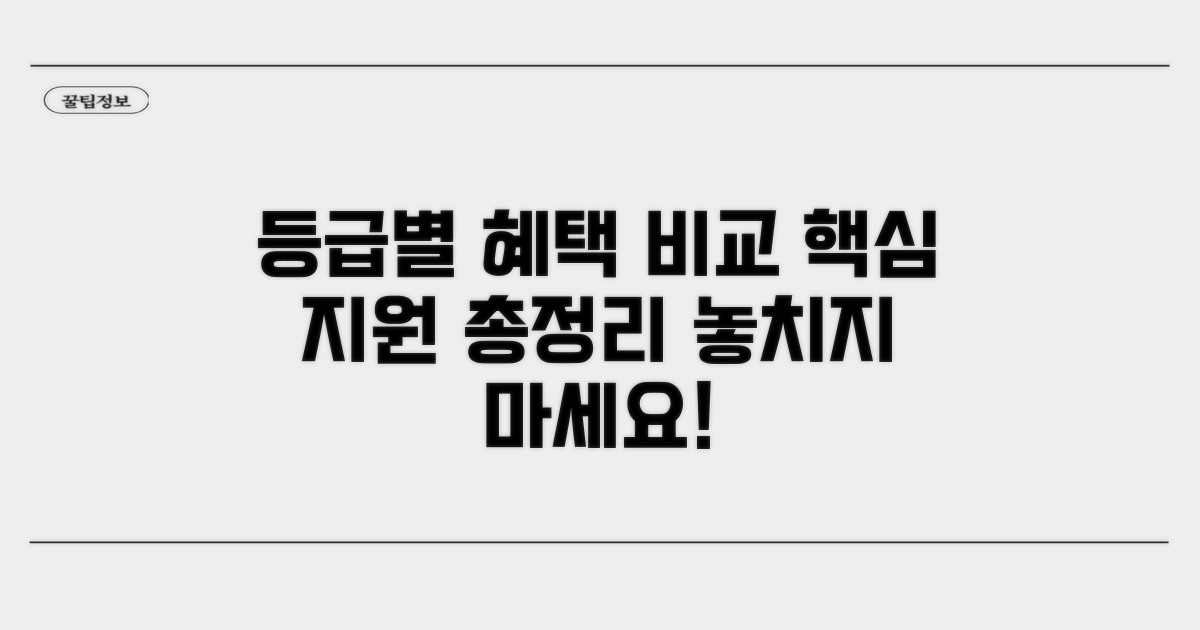 등급별 지원 내용 비교