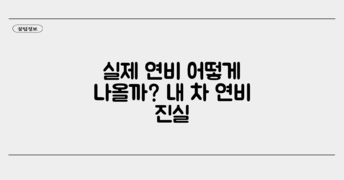 실제 연비, 어떻게 나올까?