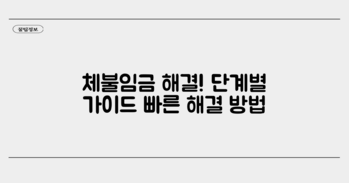 체불 임금 해결 절차 개요