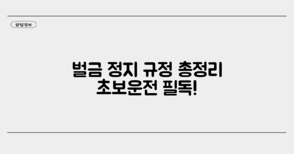 벌금 및 면허정지 상세 규정