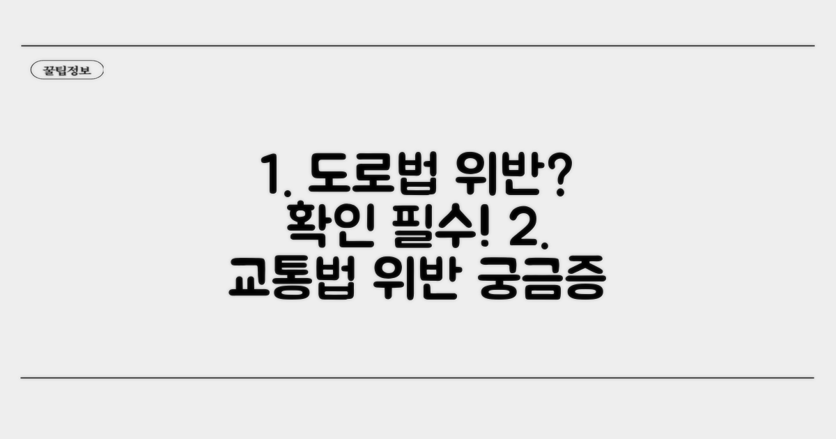 도로교통법 위반 사항 확인