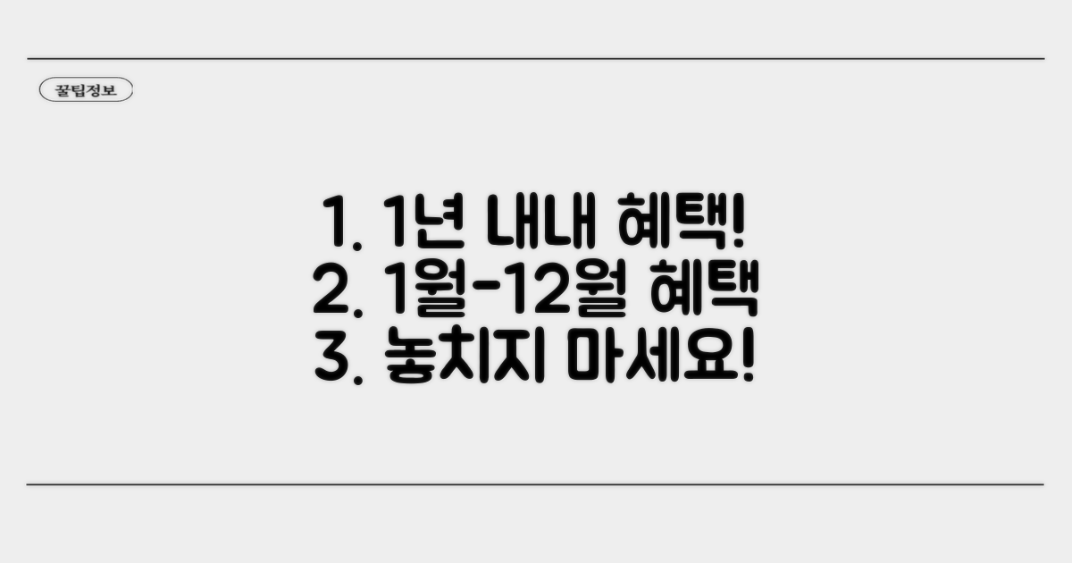 1월부터 12월까지 혜택 확인