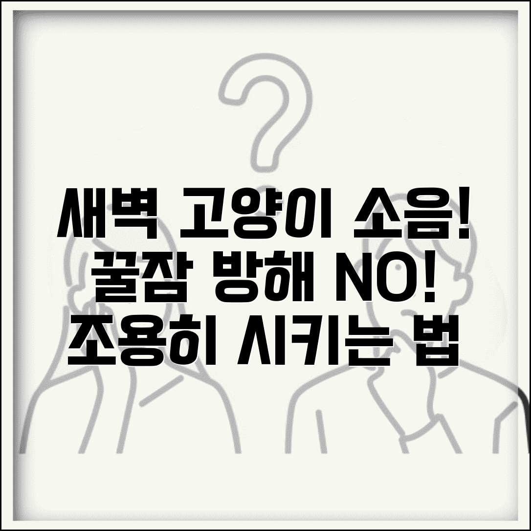 새벽 고양이 소음, 조용히 시키는 방법과 수면방해 해결