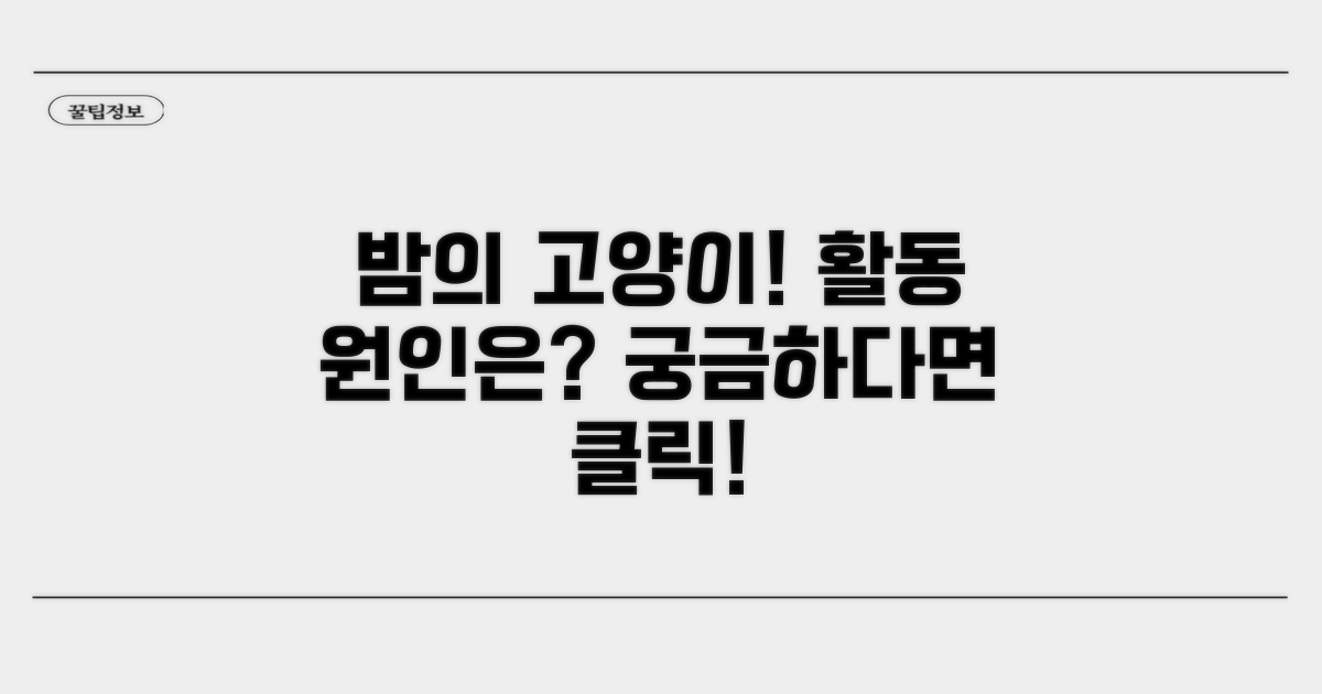 야간 고양이 활동 원인 분석