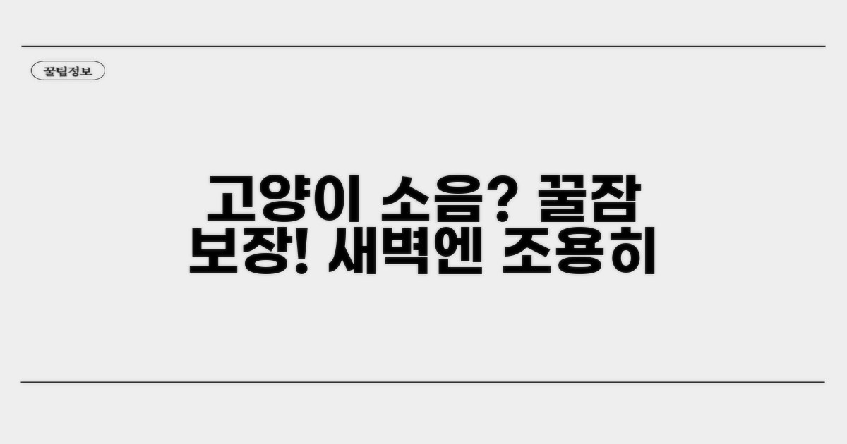 새벽 고양이 소음 줄이는 꿀팁