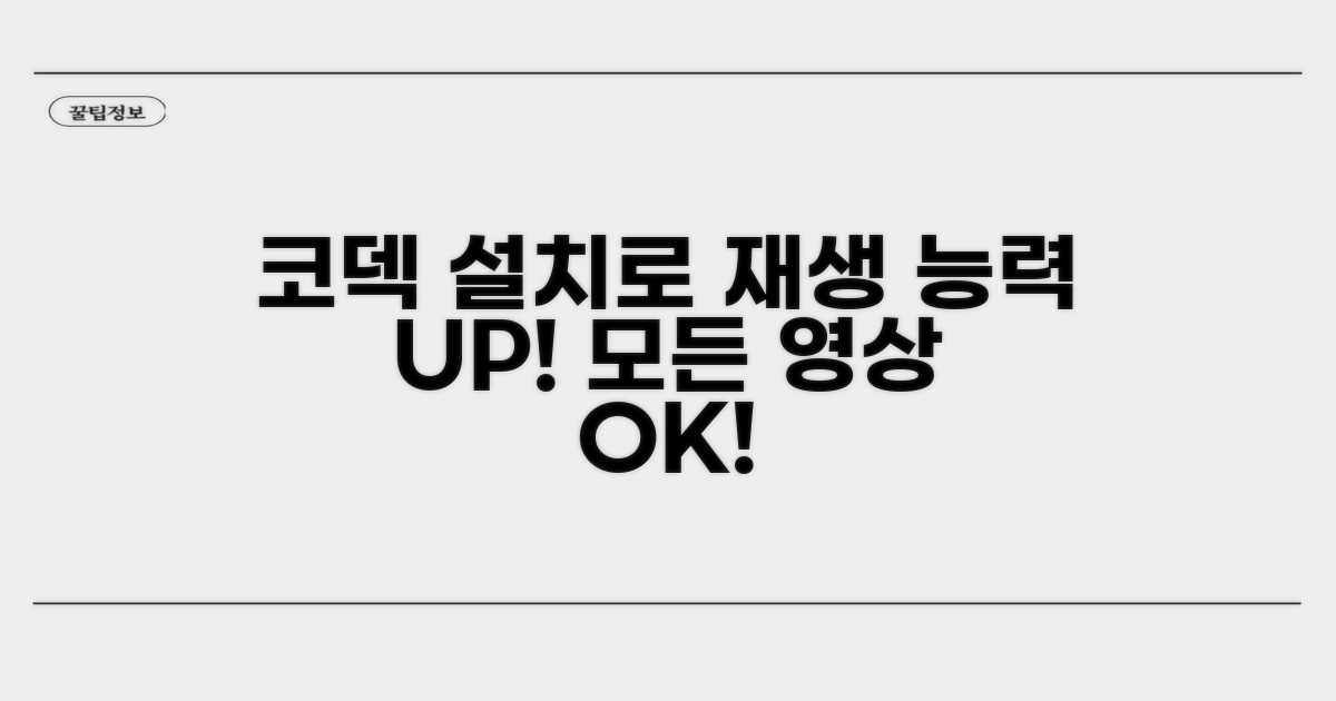 코덱 설치로 재생 기능 확장