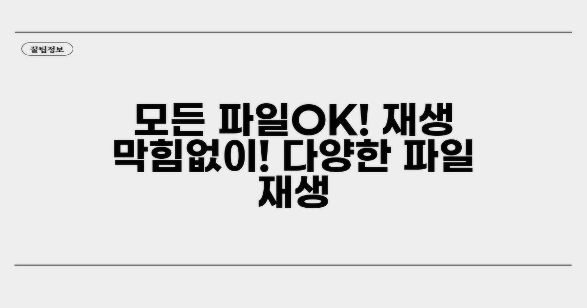 다양한 파일 재생 가능하게