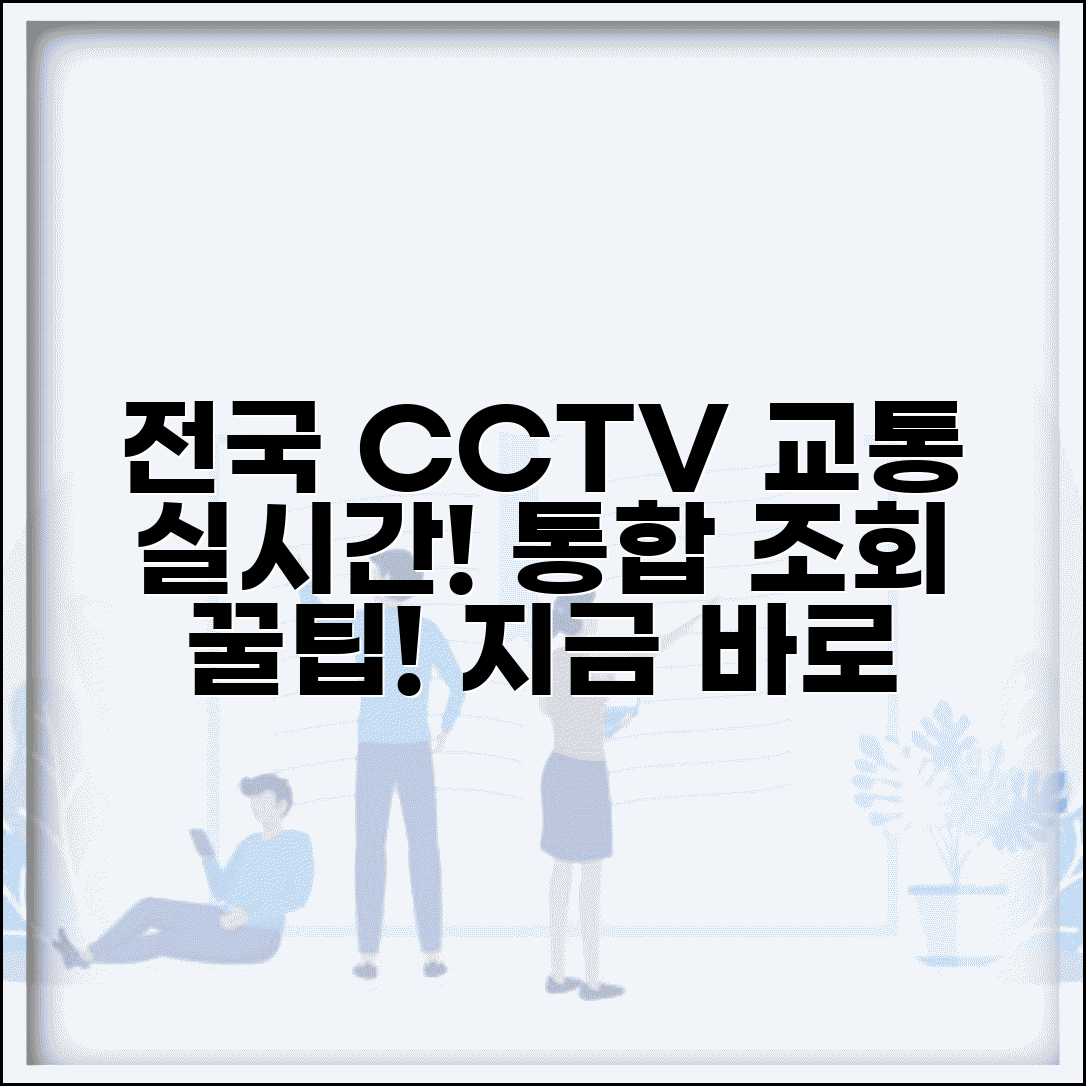전국 CCTV 실시간 교통정보 통합 조회 방법
