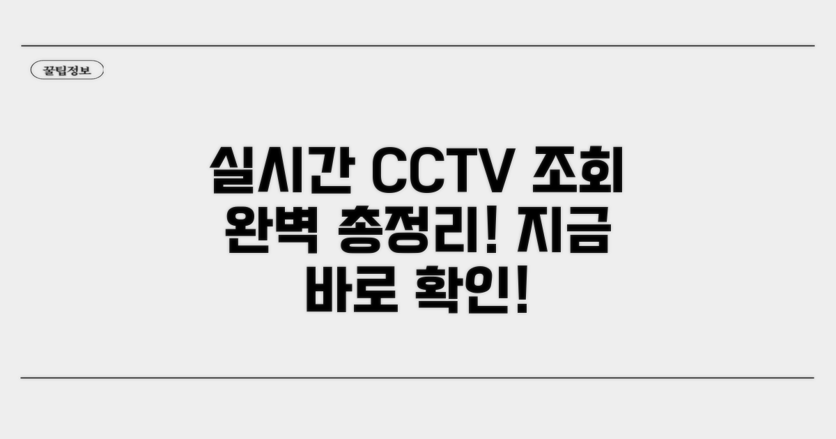 실시간 CCTV 조회 방법 완벽 정리