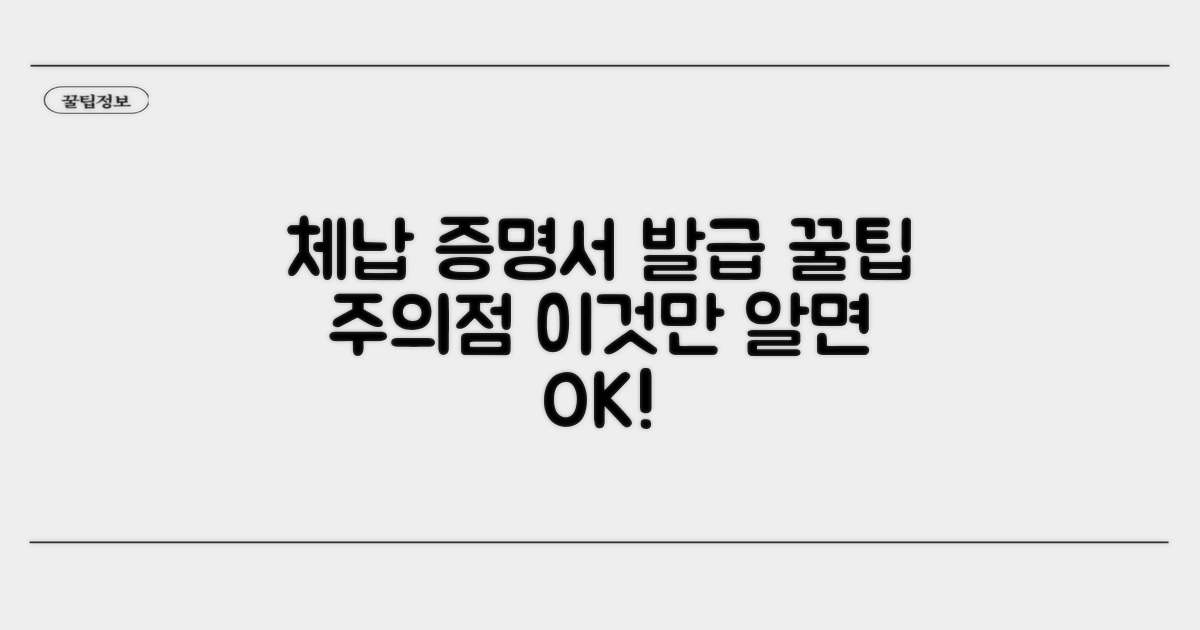 체납 증명서 발급 활용 팁과 주의사항