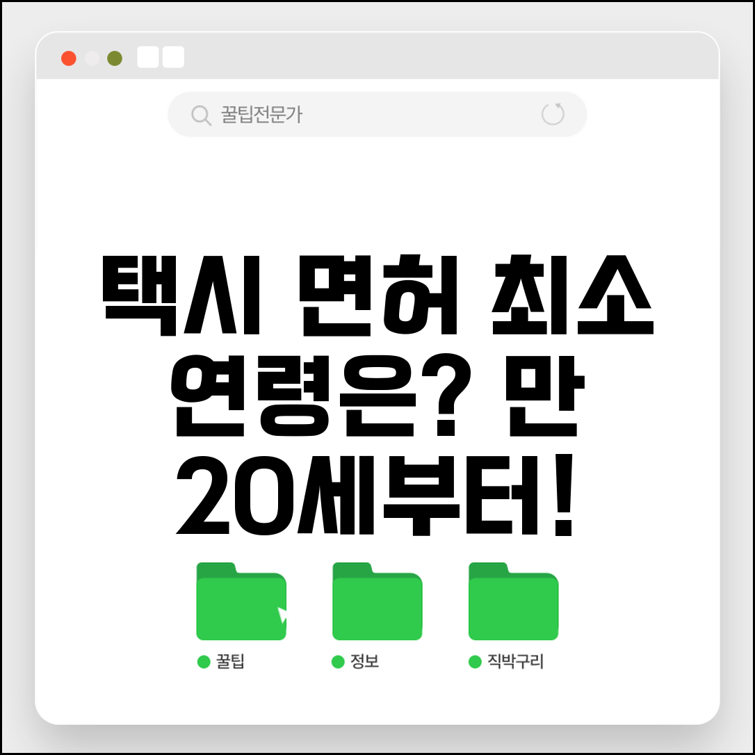 택시면허 취득 나이 몇 세부터 | 택시 운전자격 최소 연령, 조건 및 준비물 총정리