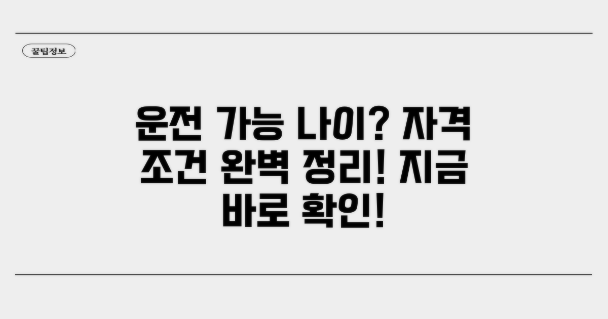 운전 자격 최소 연령 및 조건 확인
