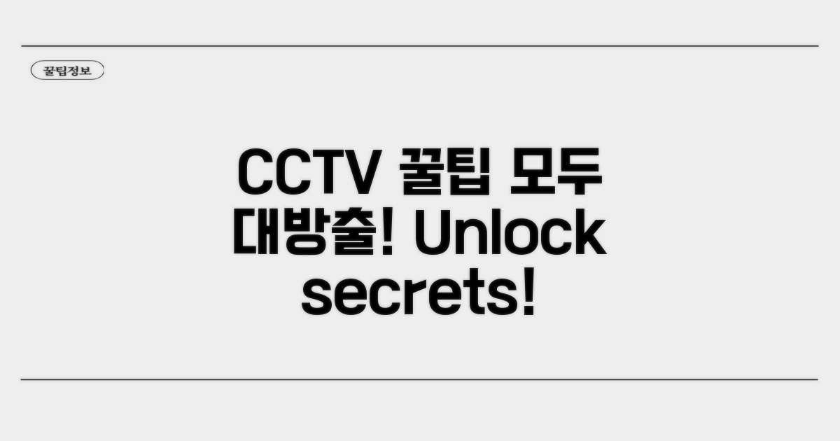 CCTV 정보 활용 꿀팁 대방출