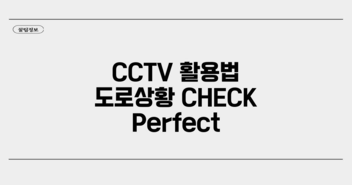 도로 상황 CCTV 완벽 이용법