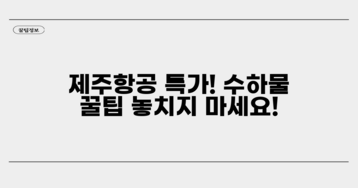 제주항공 특가 이용 시 수하물 팁