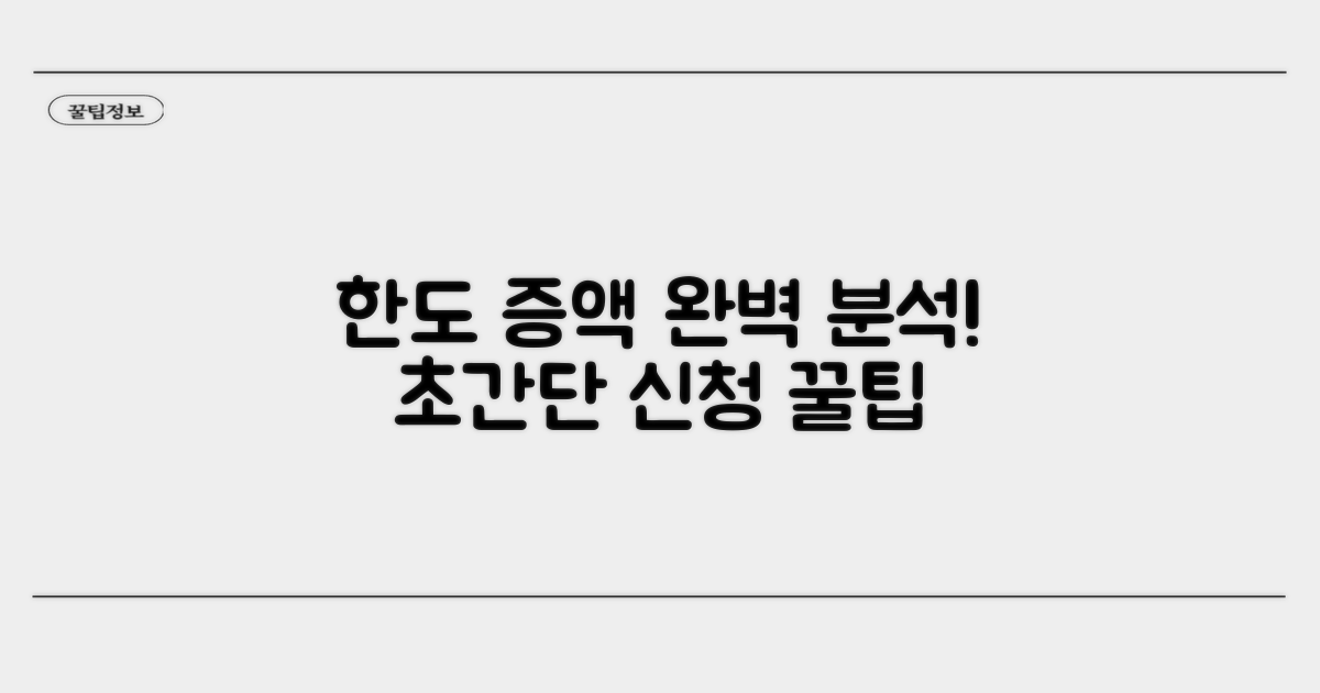 한도 증액 신청 절차 완벽 분석