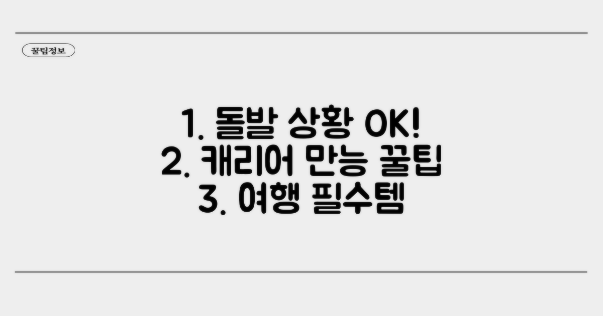 돌발 상황 대비! 캐리어 활용 꿀팁