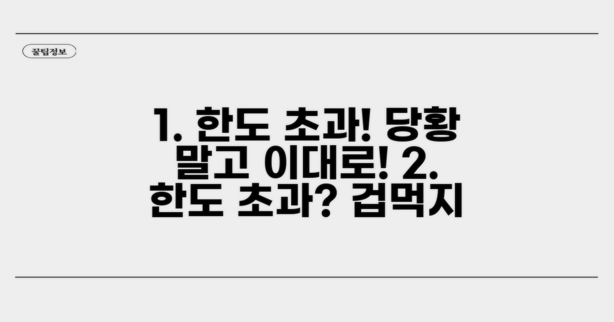 한도 초과 시 대처법