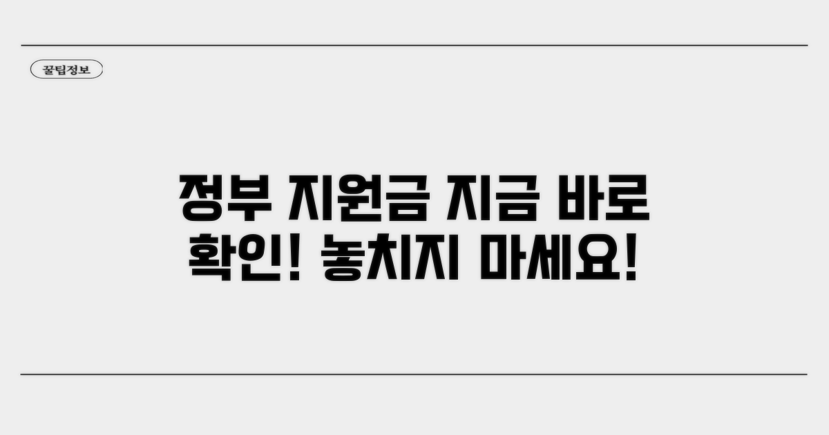 정부 지원금 지급 일정 안내