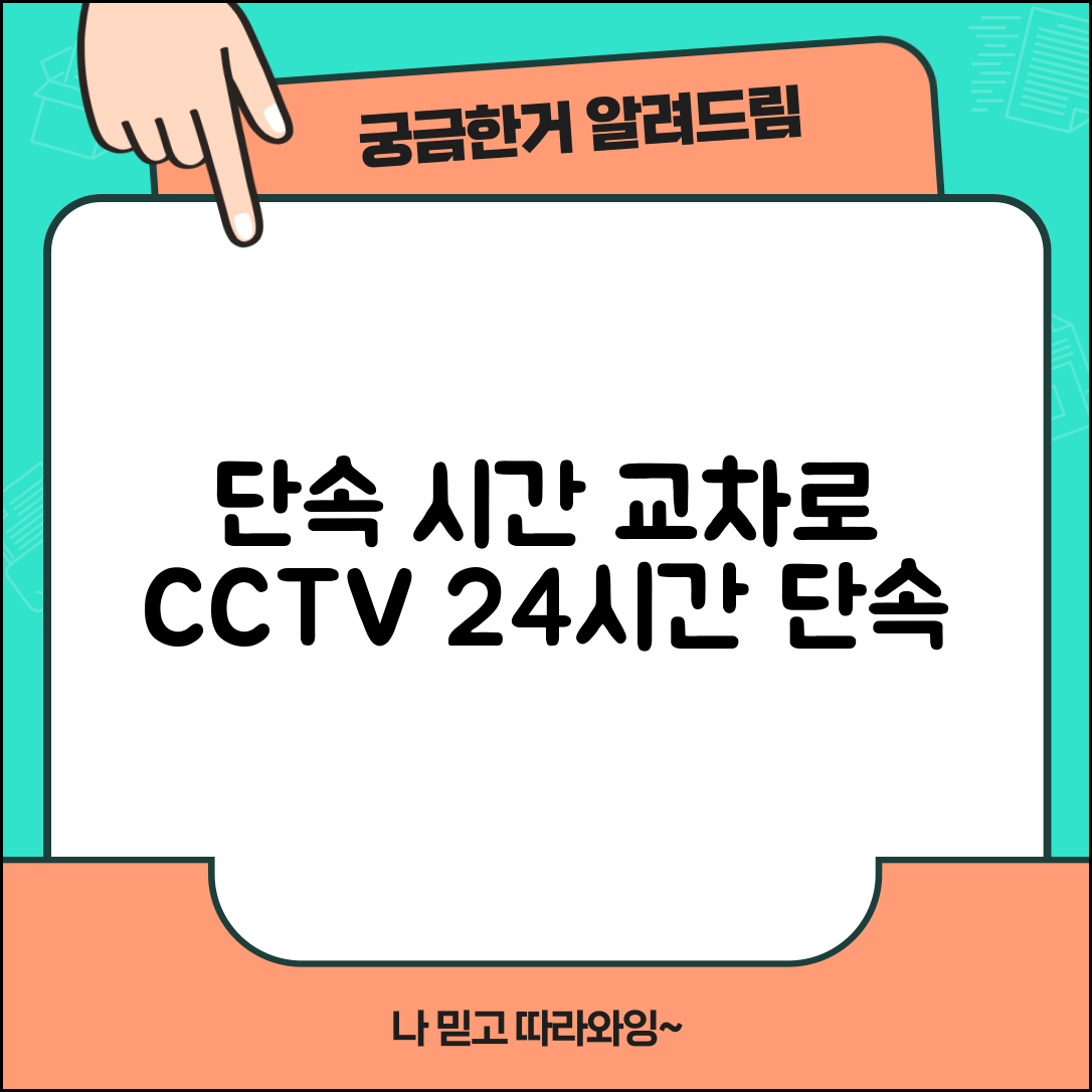 신호위반 단속시간 교차로 | 주요 교차로 신호위반 무인단속카메라 24시간 운영