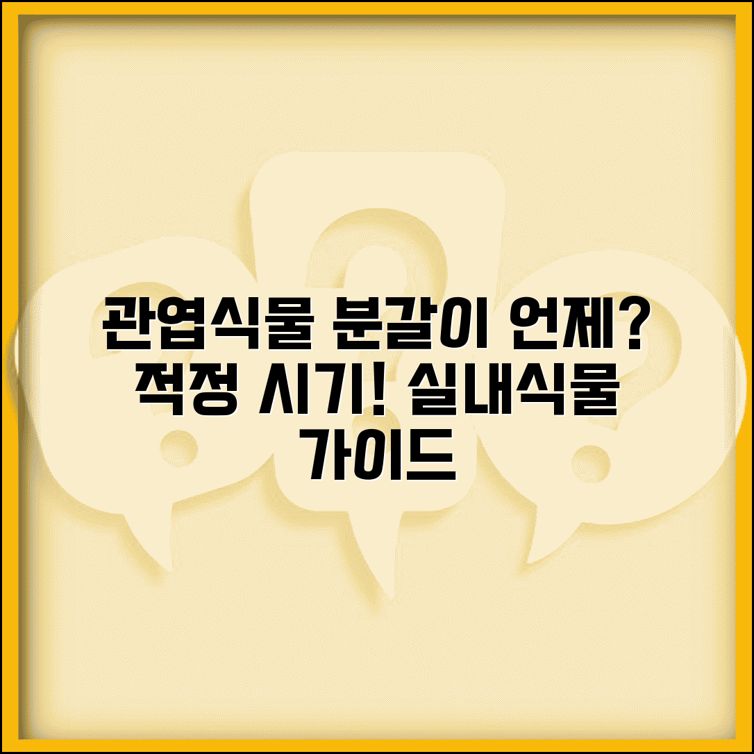관엽식물 분갈이 시기 언제가 좋은지 | 실내식물 분갈이 적정 계절