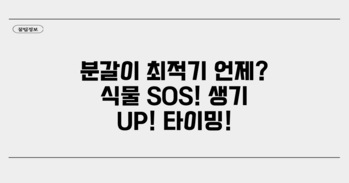 관엽식물 분갈이 시기, 언제 좋을까?