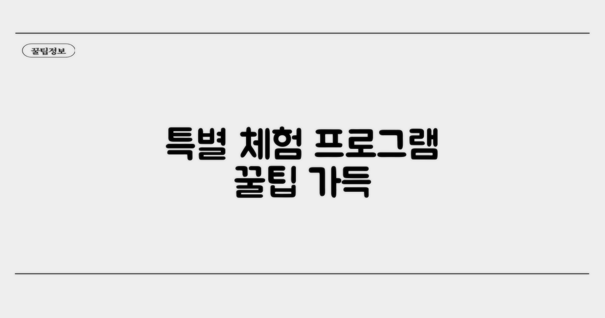 특별한 체험 프로그램 알아보기