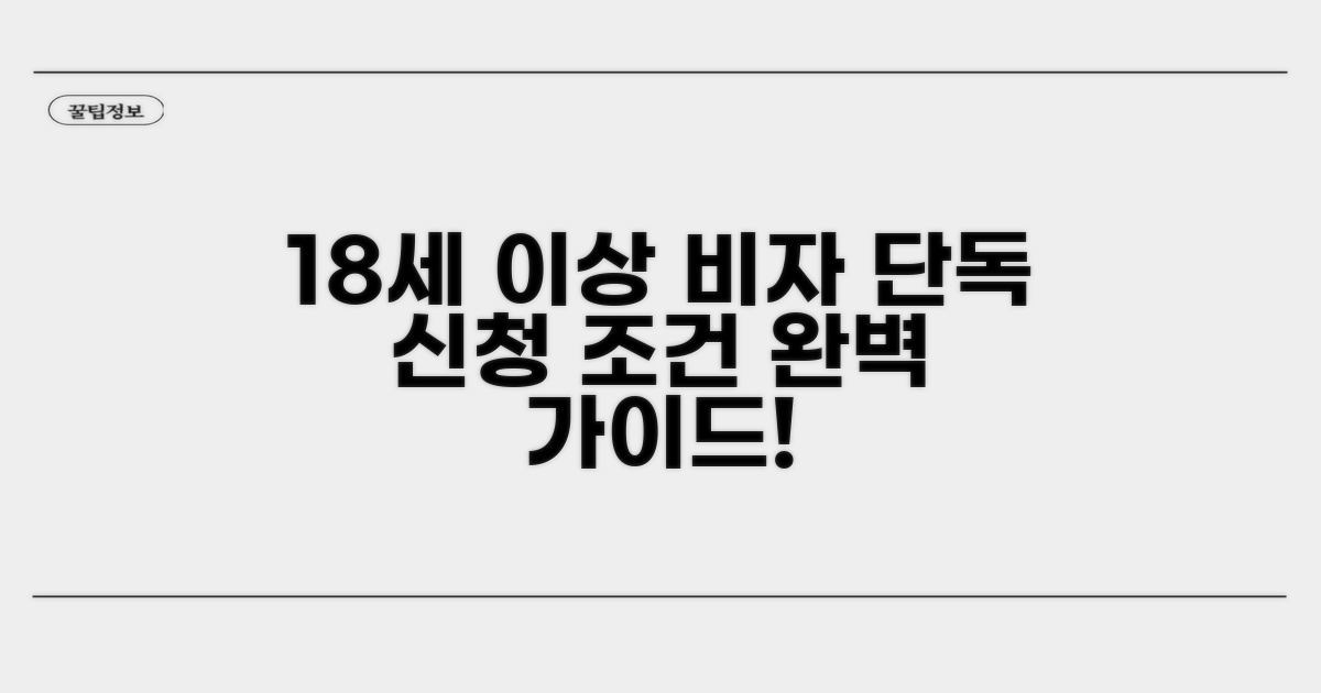 만 18세 이상 비자 단독 신청 조건