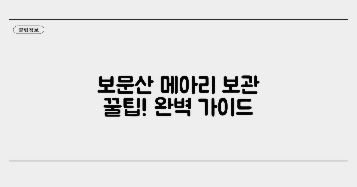 보문산 메아리 보관법 완전정리