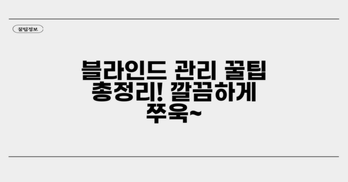 블라인드 종류별 관리 꿀팁