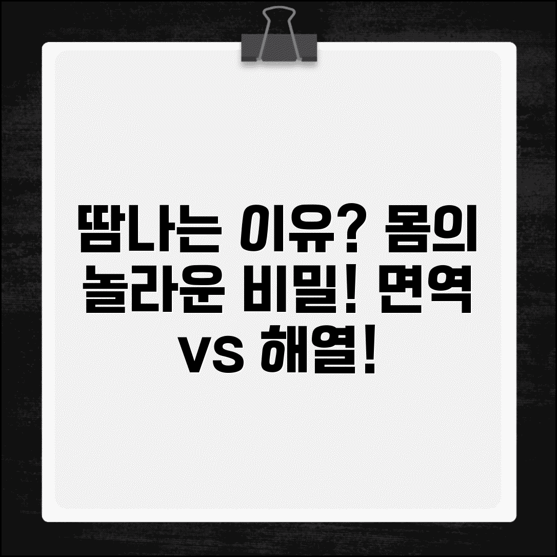아플 때 땀나는 이유 | 몸 반응, 해열 과정, 면역 메커니즘 총정리