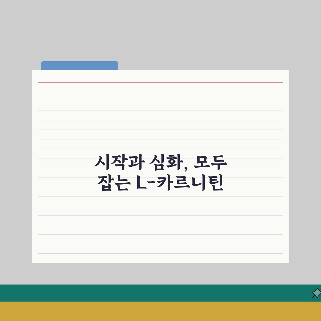 L-카르니틴 효과 나타나는 시기 | 엘카르니틴 복용 효과 기간 총정리: 7가지 핵심 포인트