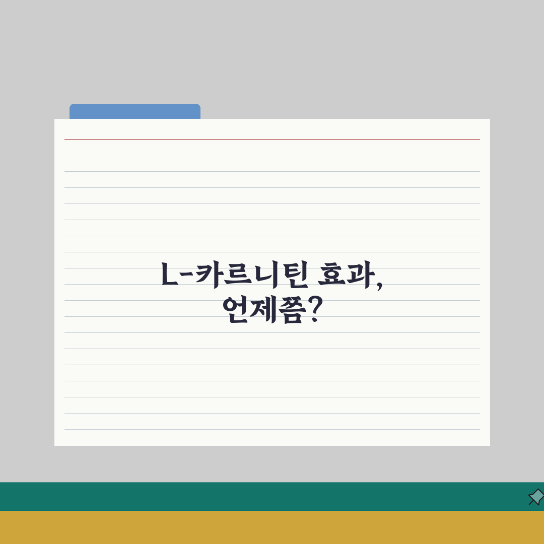 L-카르니틴 효과 나타나는 시기 | 엘카르니틴 복용 효과 기간 총정리: 7가지 핵심 포인트
