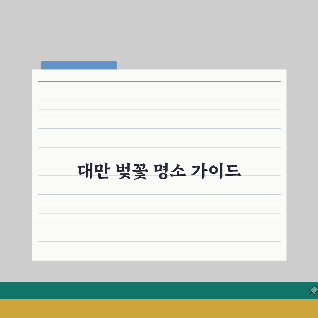 대만 벚꽃 여행가이드 2026 | 아리산/양명산 개화시기+현지투어 A to Z