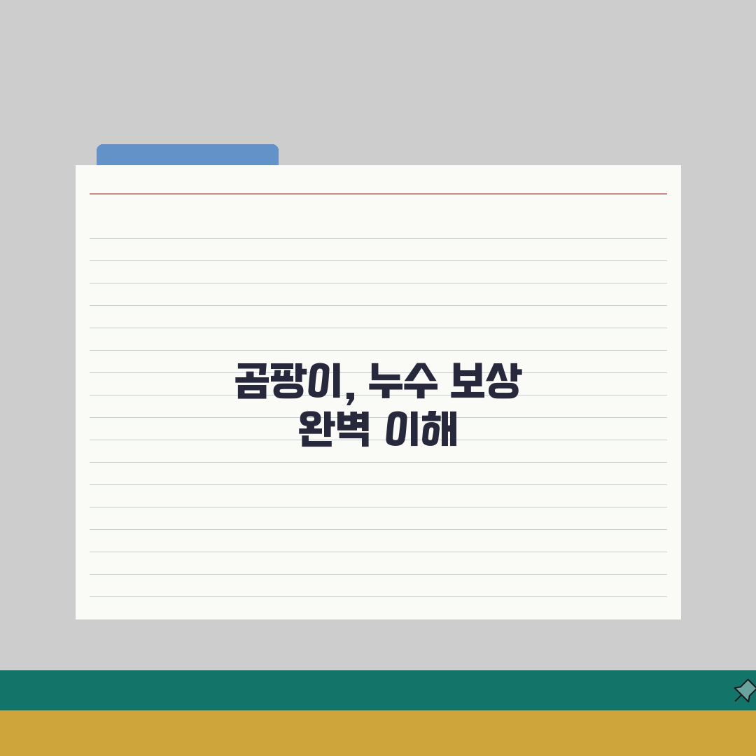 벽지 곰팡이 보험청구 | 누수피해/침수보상 + 보험적용 범위 체험기, 직접 해봤어요!