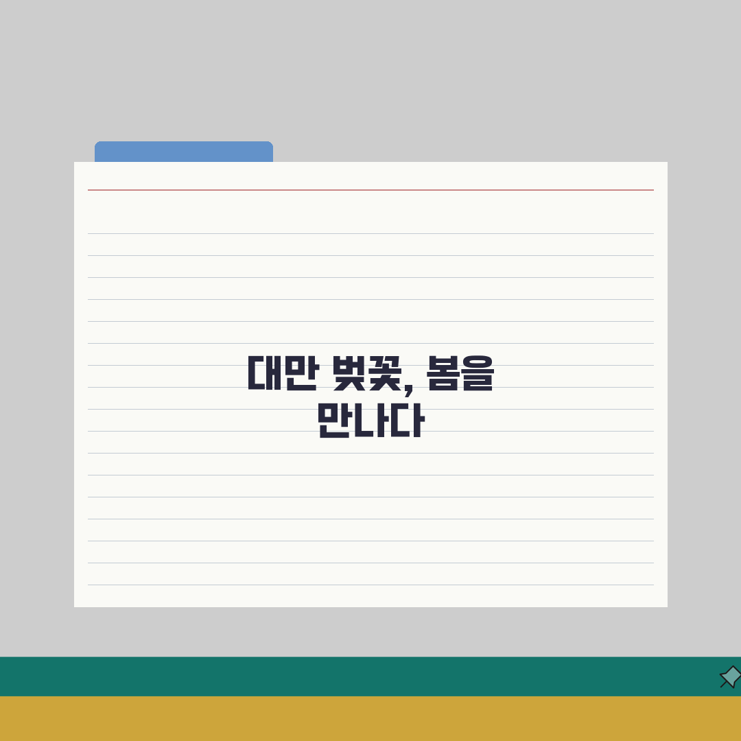 대만 벚꽃 여행가이드 2026 | 아리산/양명산 개화시기+현지투어 A to Z